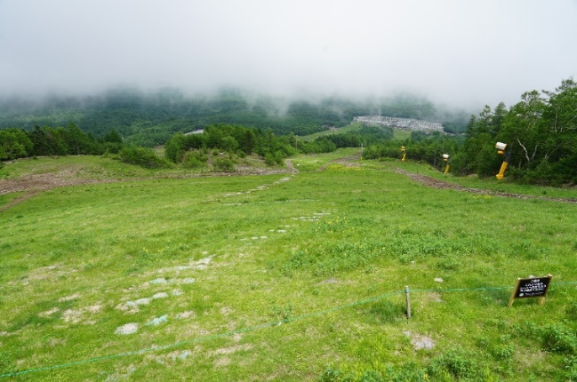 kiyosato terrace 2019 09