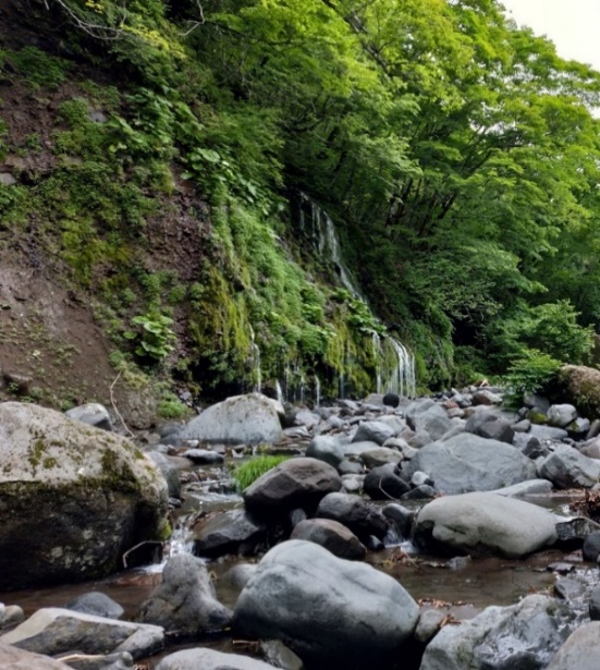 kiyosato trekking 2019 03