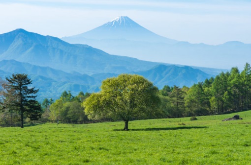 kiyosato trekking 2019 08