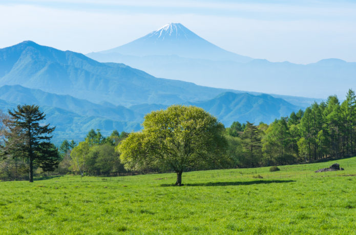 kiyosato trekking 201907-24