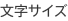 文字サイズ