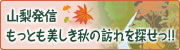 美しきたのしい秋に会うための旅。山梨発信もっとも美しき秋の訪れを探せっ!!