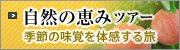 自然の恵みツアー 季節の味覚を体感する旅