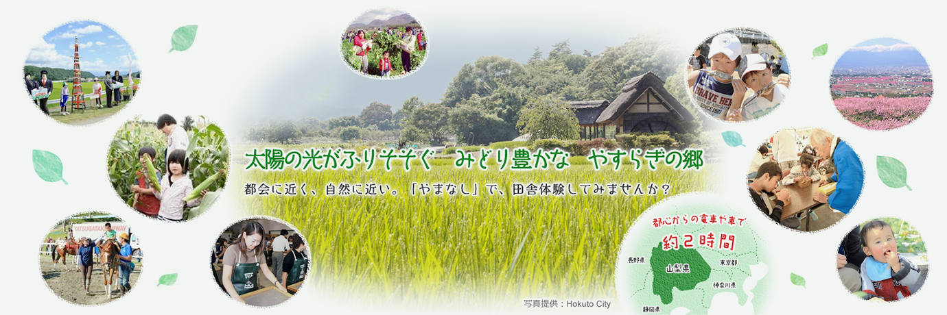 太陽の光がふりそそぐ　みどり豊かな　やすらぎの郷 都会に近く、自然に近い。「やまなし」で、田舎体験してみませんか？