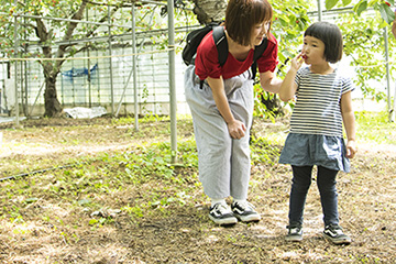 歩きやすい靴がおすすめ