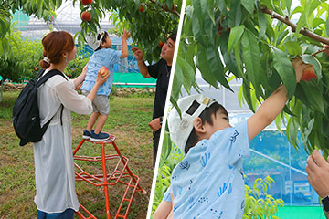 三本足のハシゴだから安定性があり、小さな子どもでも安心して上れます