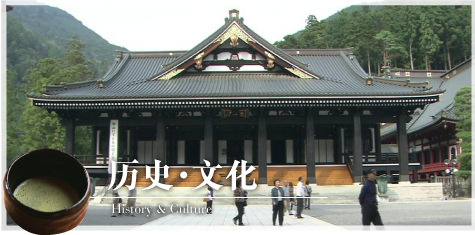 历史・文化