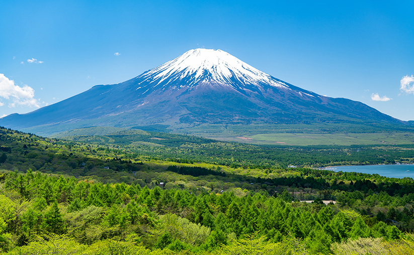 富士山・自然／富士の国やまなし観光ネット 山梨県公式観光情報