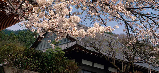 Enko-in Temple