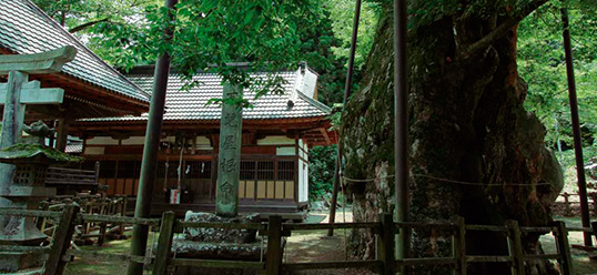 Negoya-jinja Shrine