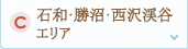 石和・勝沼・西沢渓谷エリア