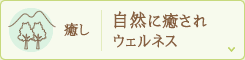 癒し 自然に癒されウェルネス