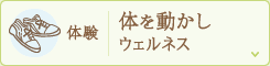 体験 体を動かしウェルネス