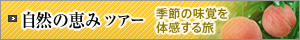 自然の恵みツアー　季節の味覚を体感する旅