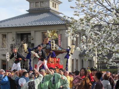 太白桜祭り