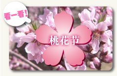 桃花节