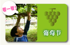 葡萄节