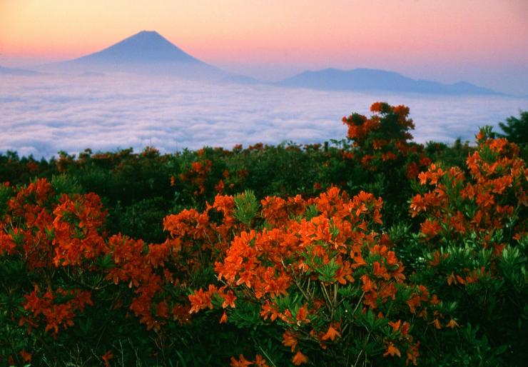 甘利山