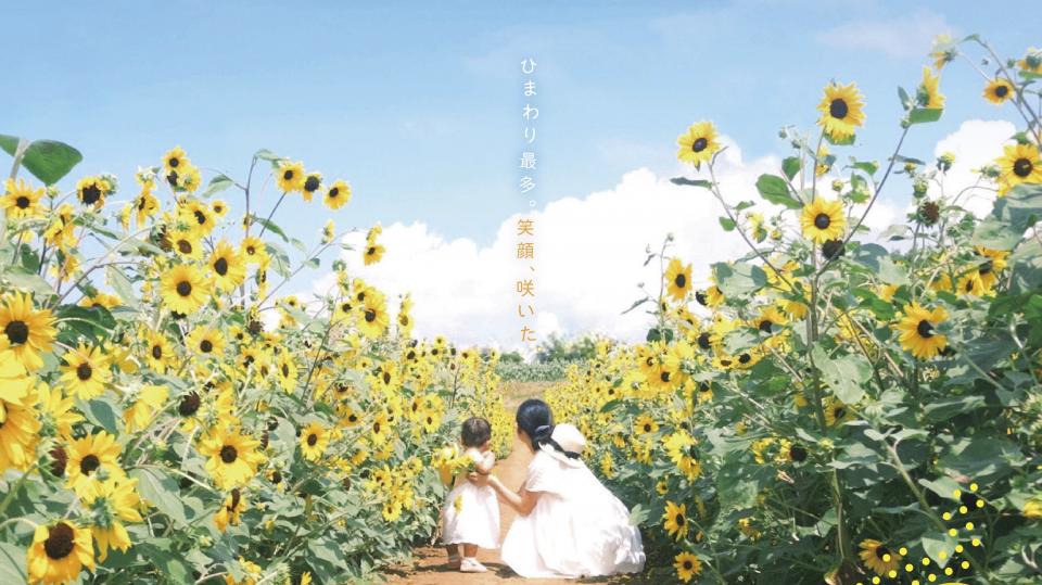 サンフラワーフェス2025写真