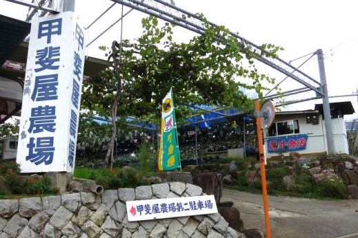 協力農園画像(甲斐屋農場)