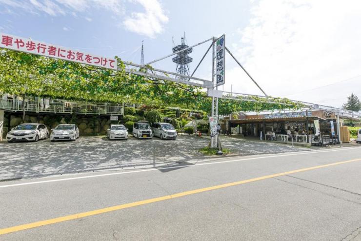 フルーツCPもも協力農園(理想園)