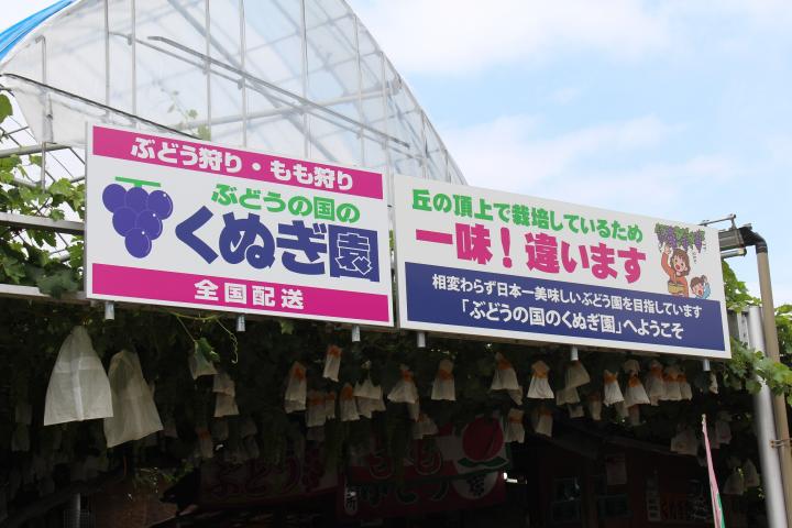 10_ぶどうの国のくぬぎ園