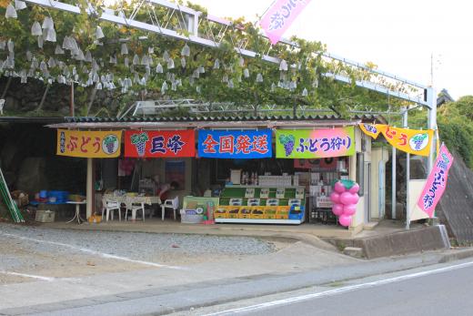 協力農園画像(御宿農園)