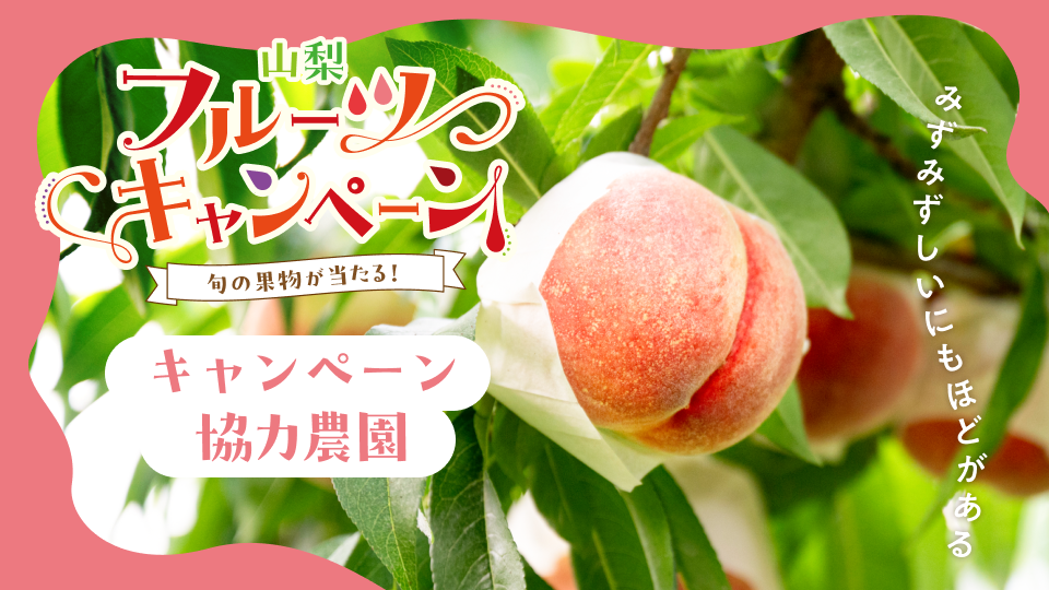 2026ももキャンペーン協力農園