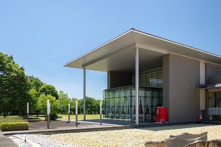 museum cafe