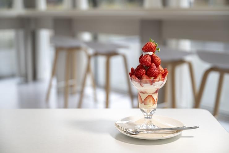 ミュージアムカフェ