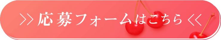 応募フォーム