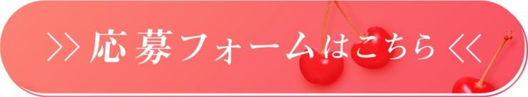 応募フォーム