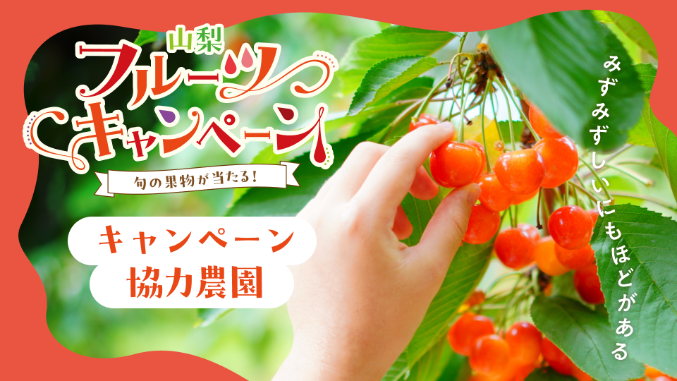 さくらんぼ協力農園メインビジュアル