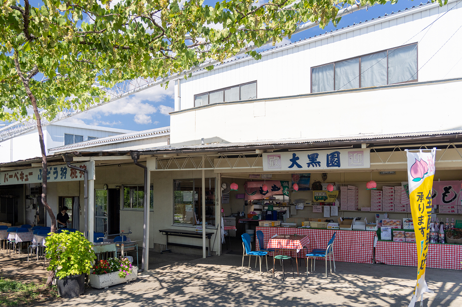 フルーツCPぶどう農園3選_大黒園11