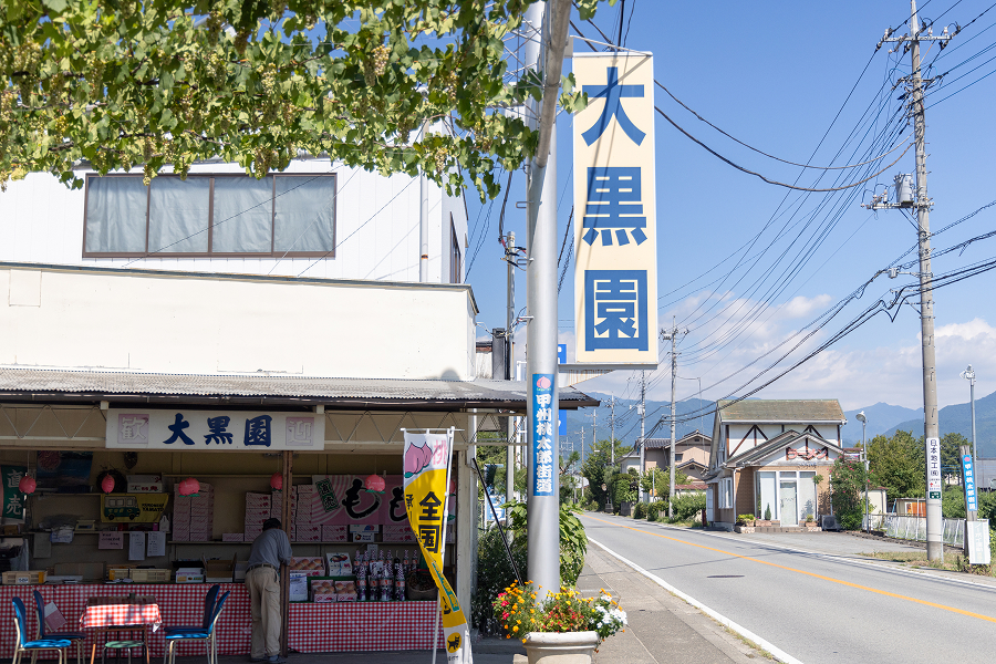 フルーツCPぶどう農園3選_大黒園13