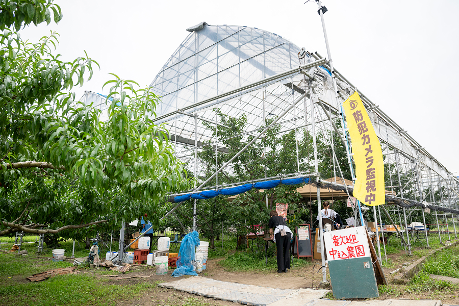 中込農園