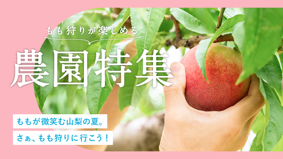 もも狩りが楽しめる農園特集