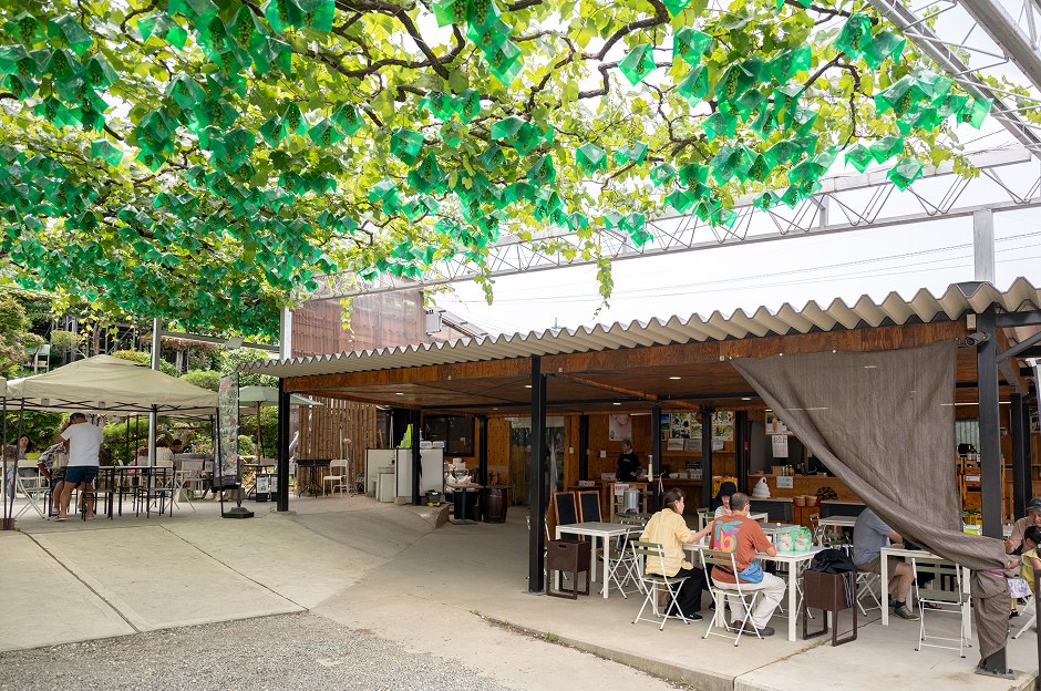 フルーツCPもも農園3選_理想園6