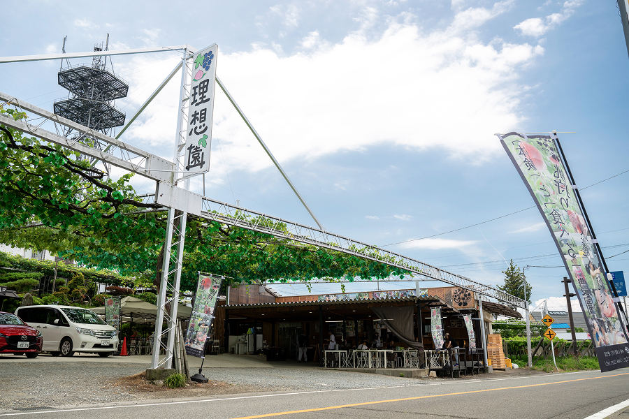 フルーツCPもも農園3選_理想園11