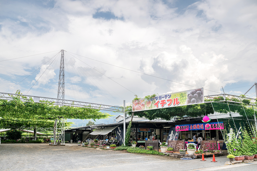 フルーツCPもも農園3選_フルーツガーデン・イチフル13