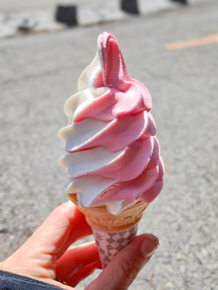 こみたけ売店のこけももソフト