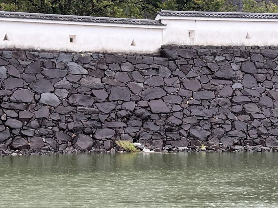 暗渠から水が出ている様子