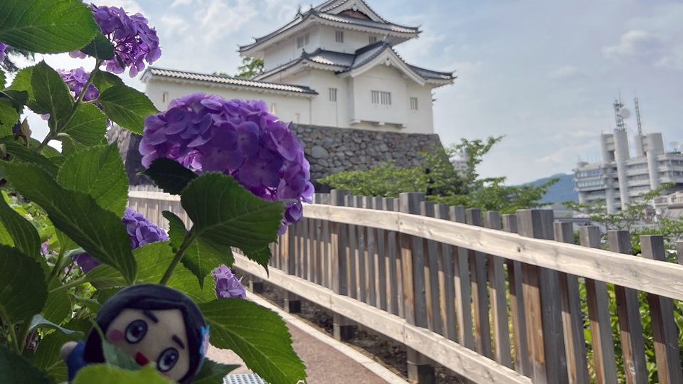 甲府城稲荷櫓とあじさい