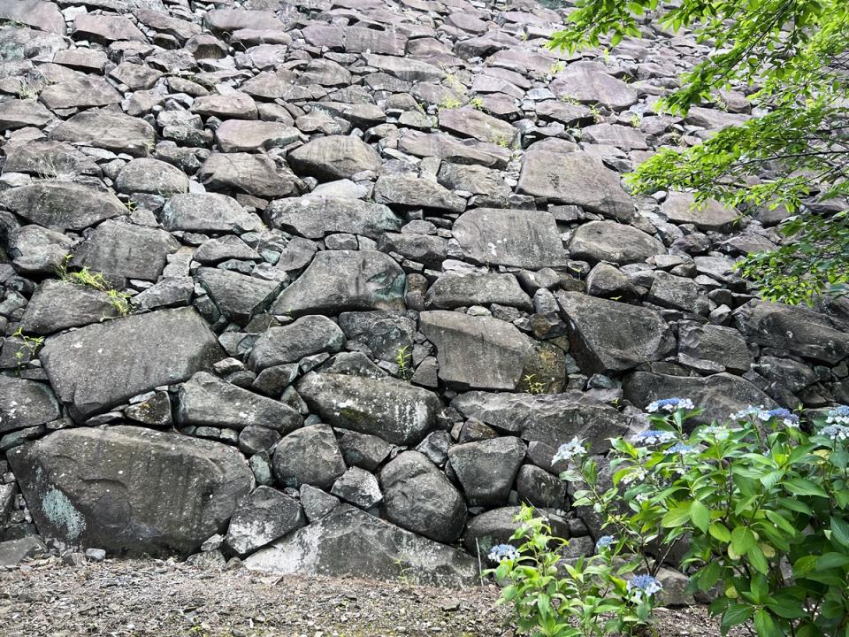 野面積みとアジサイ