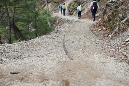 復路の山道は整備されていて歩きやすい