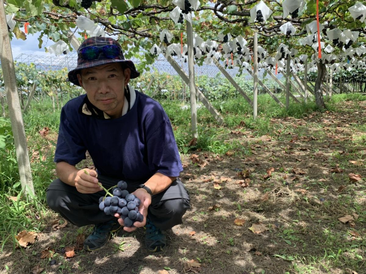 待ち望んだ「種あり巨峰」とそのつくり手～新規就農者の覚悟と挑戦