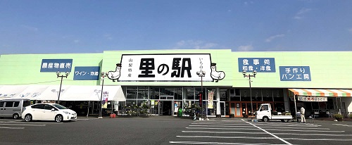 ぶどう購入場所-4