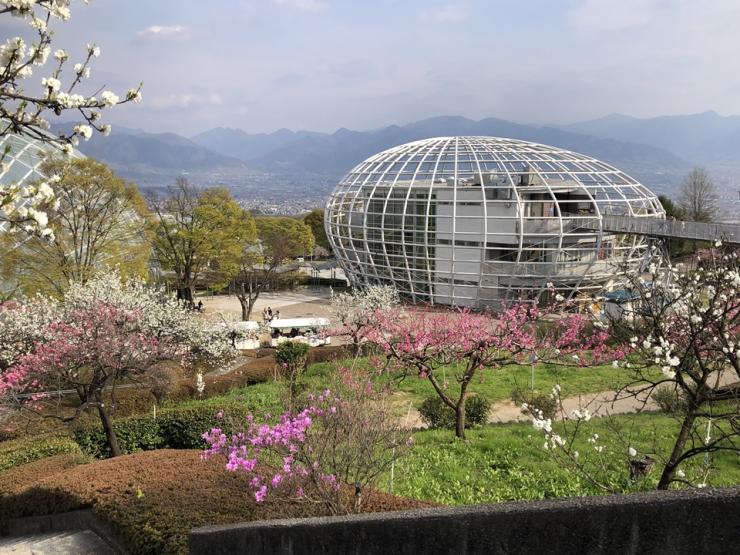 笛吹川フルーツ公園