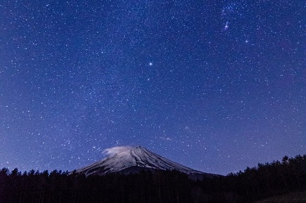 全国育樹祭記念広場星空