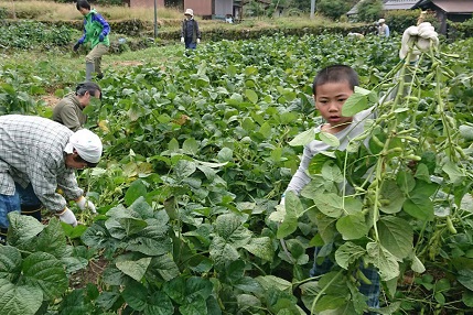 種まきや植え付け、草刈り、収穫と様々な作業が体験できます。